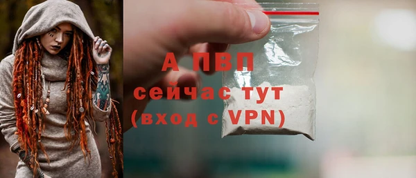ПСИЛОЦИБИНОВЫЕ ГРИБЫ Новокубанск