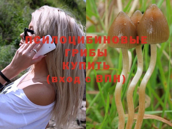 мяу мяу мука Новодвинск