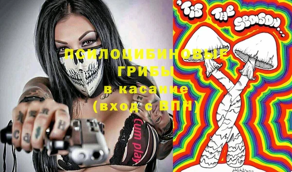 ПСИЛОЦИБИНОВЫЕ ГРИБЫ Новокубанск