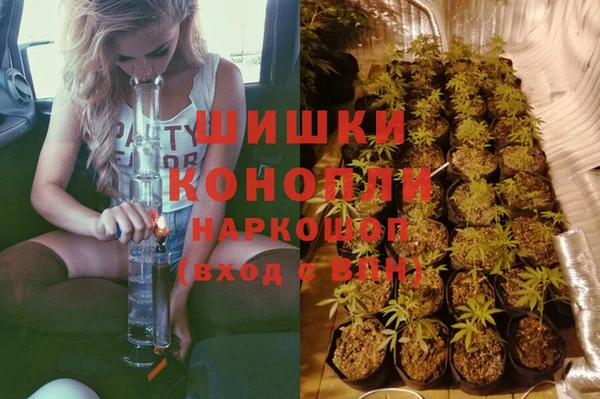 мяу мяу мука Новодвинск